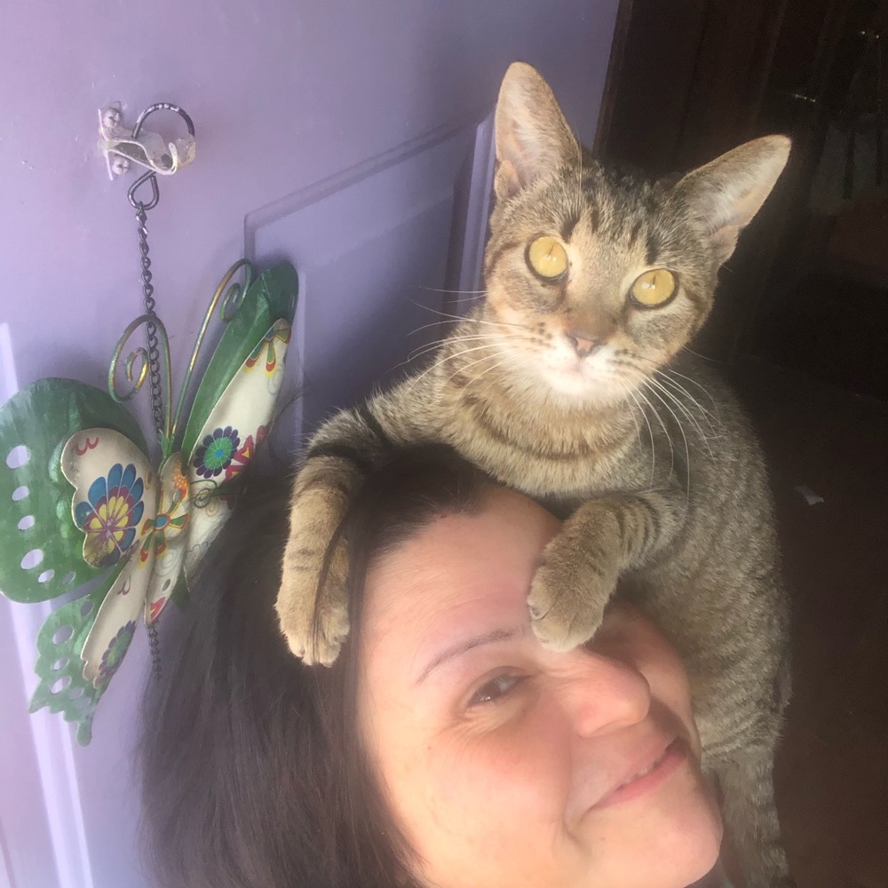 Meet your Posher, Tina